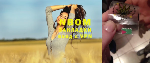 PSILOCYBIN Заводоуковск