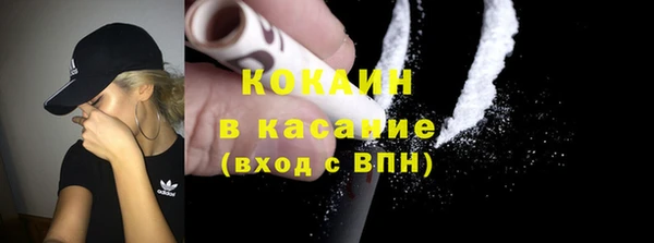 PSILOCYBIN Заводоуковск