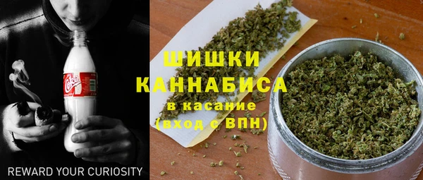 PSILOCYBIN Заводоуковск