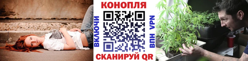Конопля ГИДРОПОН  Купить  Кущёвская 